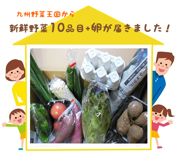 九州野菜王国すべての食材